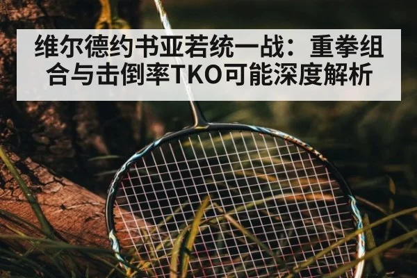 维尔德约书亚若统一战：重拳组合与击倒率TKO可能深度解析