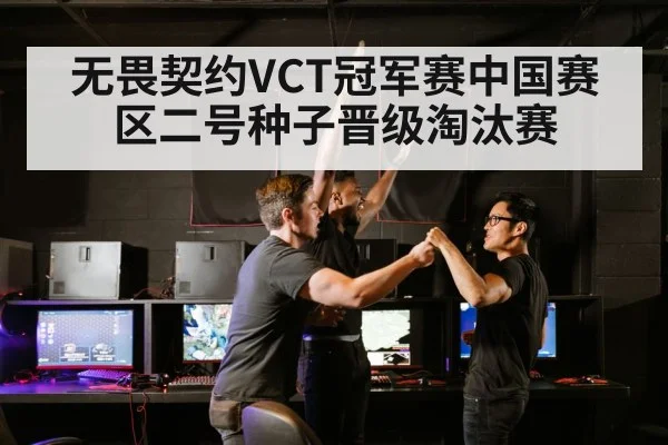 无畏契约VCT冠军赛中国赛区二号种子晋级淘汰赛