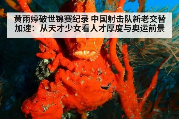 黄雨婷破世锦赛纪录 中国射击队新老交替加速:从天才少女看人才厚度与奥运前景